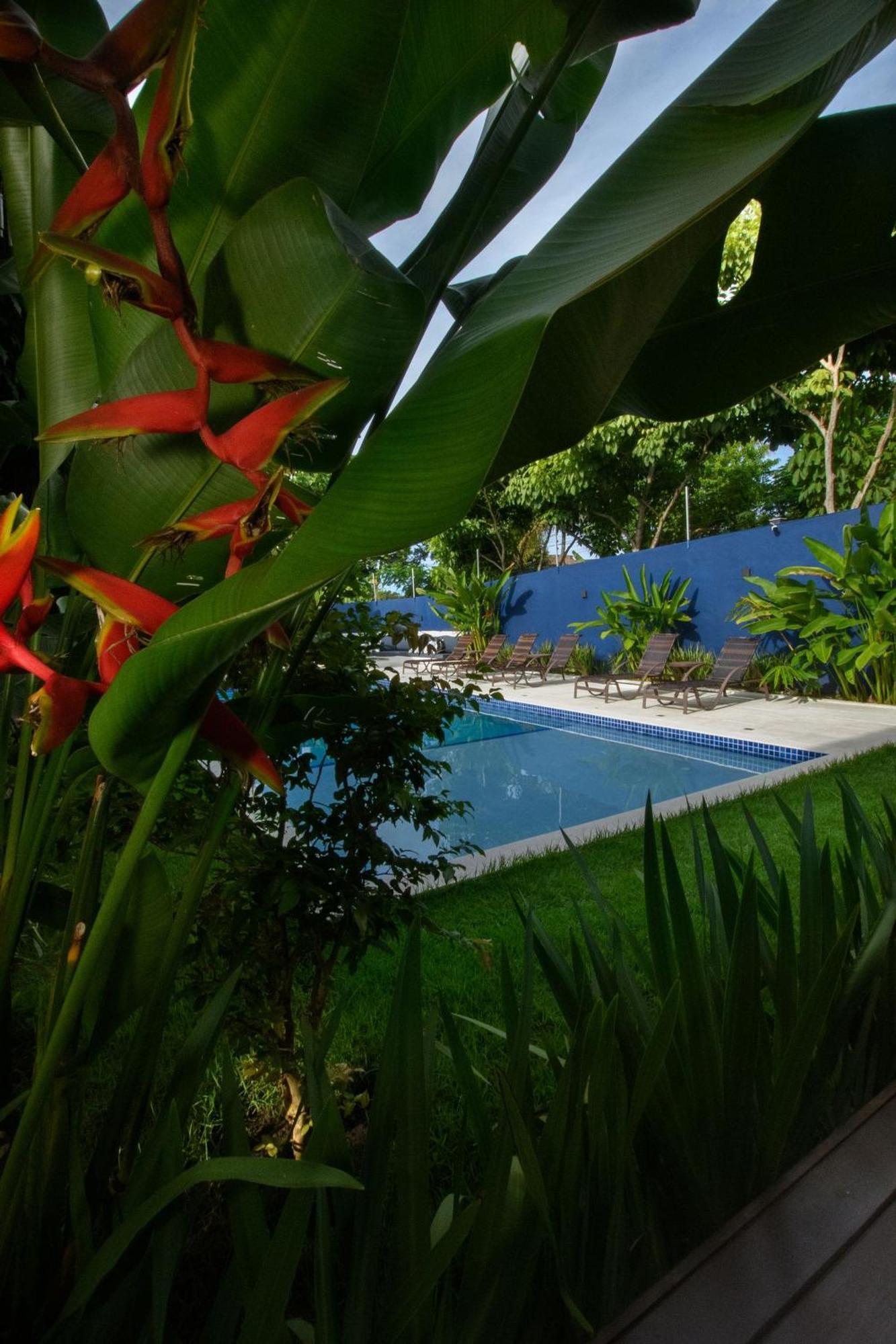 Hotel Aqui Bate A Brisa Porto Seguro